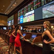 Video slot game with animated bonus round and multiple paylines